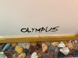 Olympus, 170x90cm