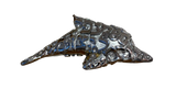 1559 DOLFIN 5/9 2022, 35x21x22cm